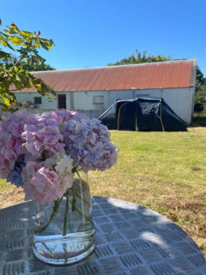 Peaceful Tent Camping near Ballybunion & Listowel